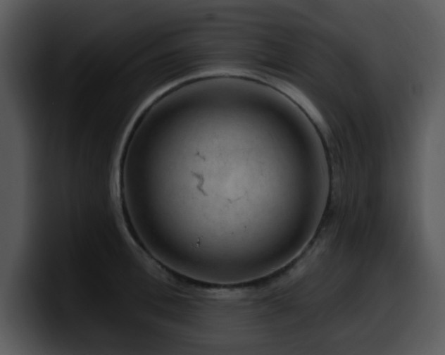 X0000100390996200806061250