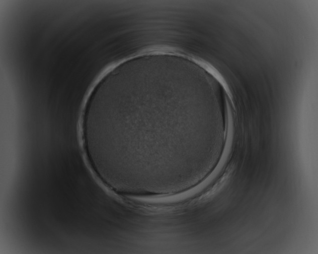 X0000100390997200806061250