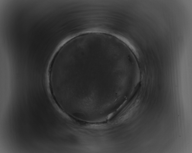 X0000100390998200806061250