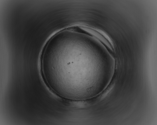 X0000100390999200806061250
