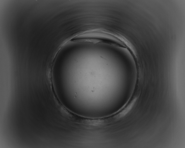 X0000100391001200806061250