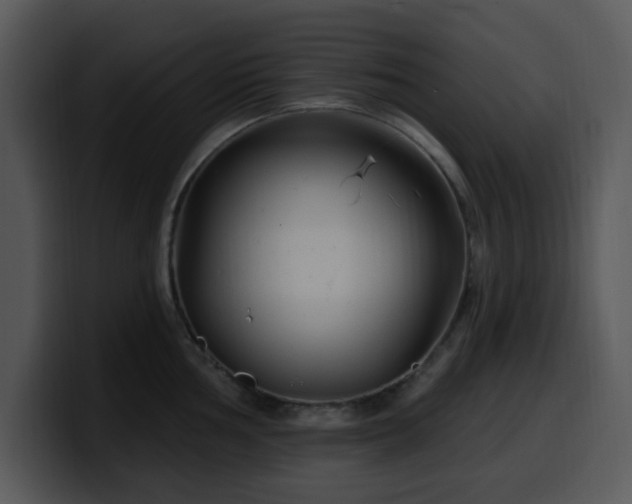 X0000100391002200806061250