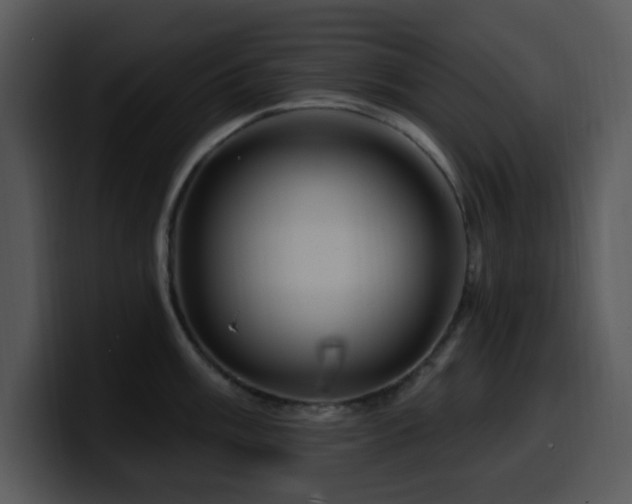 X0000100391003200806061250