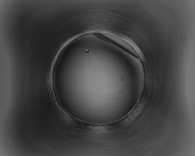 X0000100391004200806061250