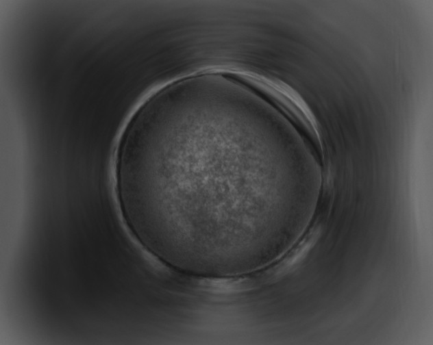 X0000100391005200806061250