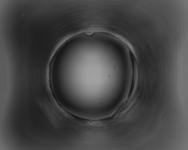 X0000100391006200806061250