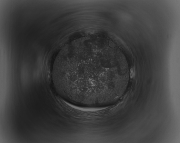 X0000100391011200806061249