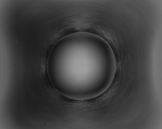 X0000100391012200806061249