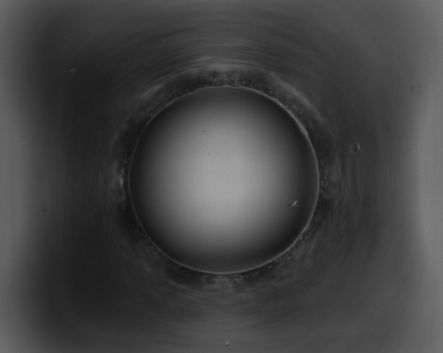 X0000100391013200806061249