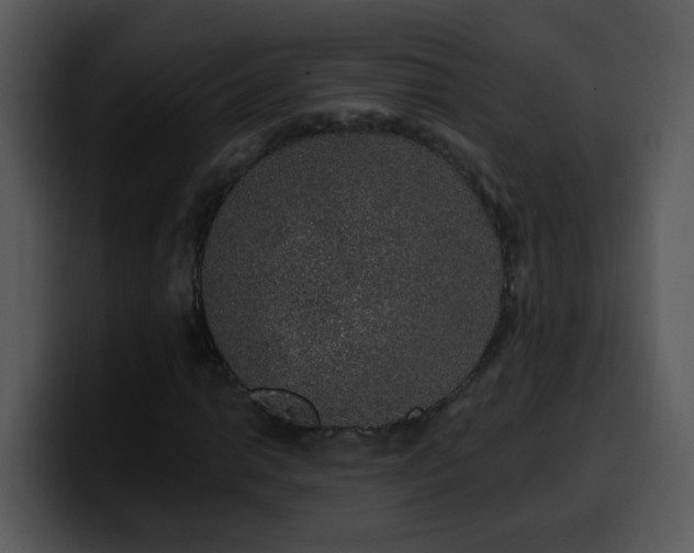 X0000100391014200806061249