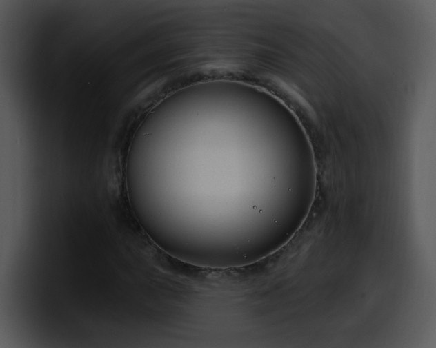 X0000100391015200806061249
