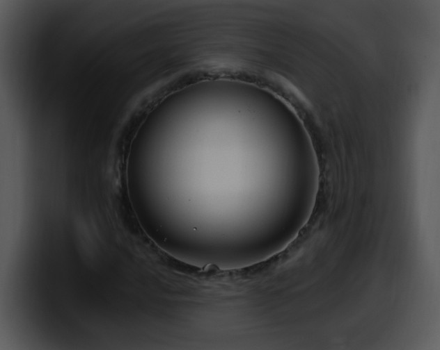 X0000100391016200806061249