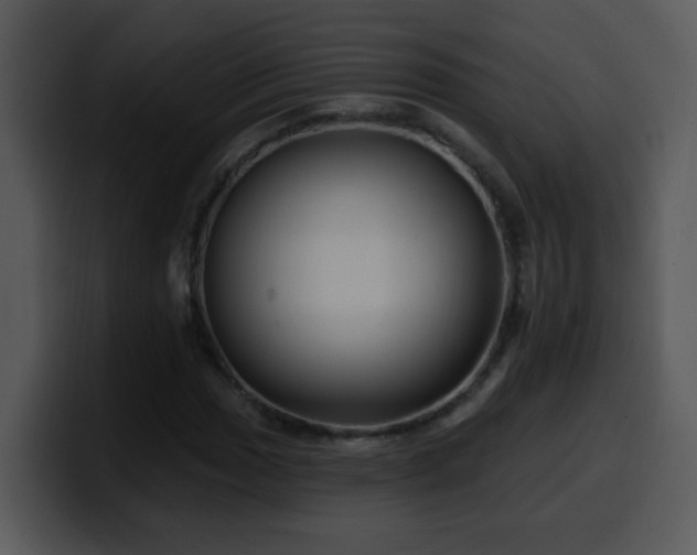 X0000100391017200806061249
