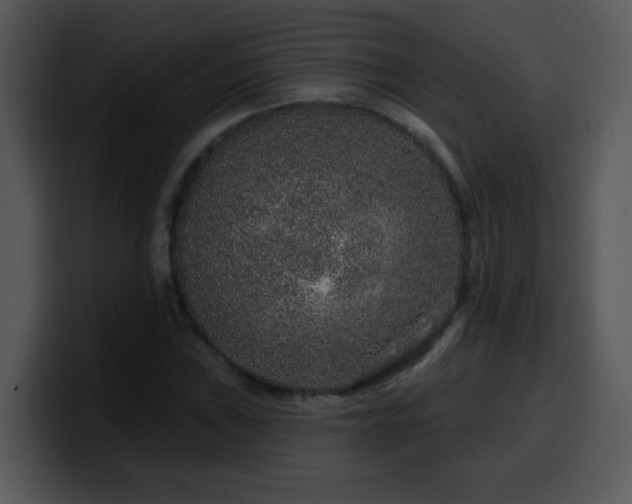 X0000100391019200806061249