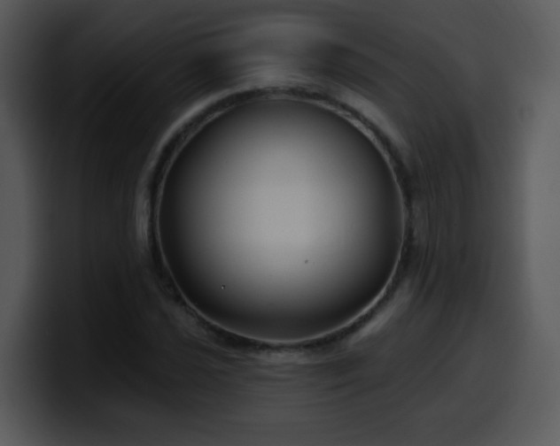 X0000100391021200806061250