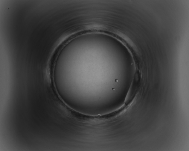 X0000100391022200806061250