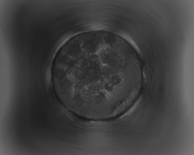 X0000100391023200806061250