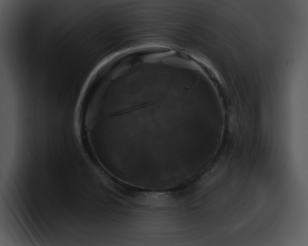 X0000100391024200806061250