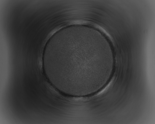 X0000100391025200806061250
