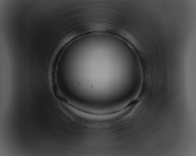 X0000100391026200806061250