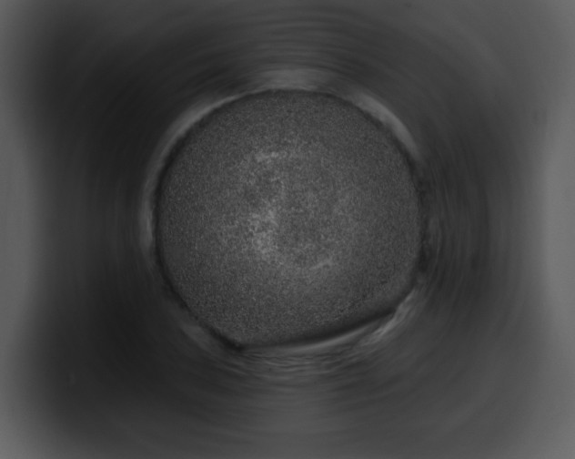 X0000100391027200806061250