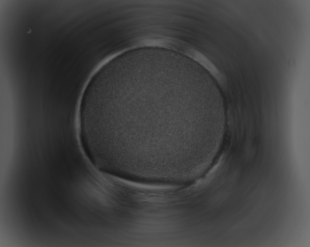 X0000100391028200806061250
