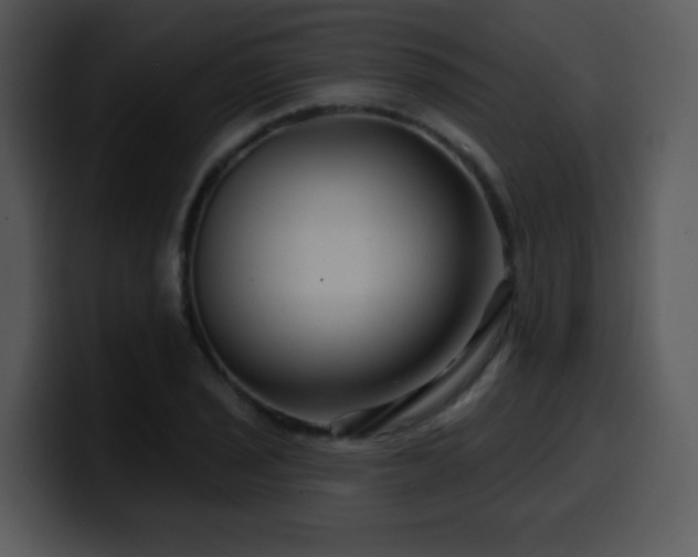X0000100391029200806061250