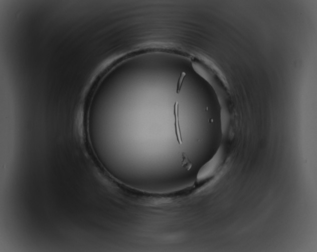 X0000100391030200806061250