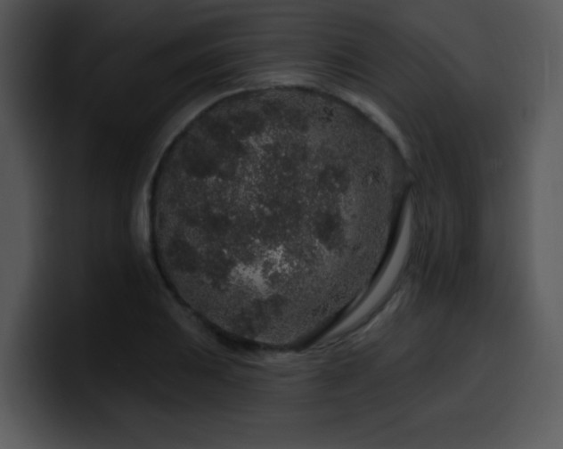 X0000100391031200806061250