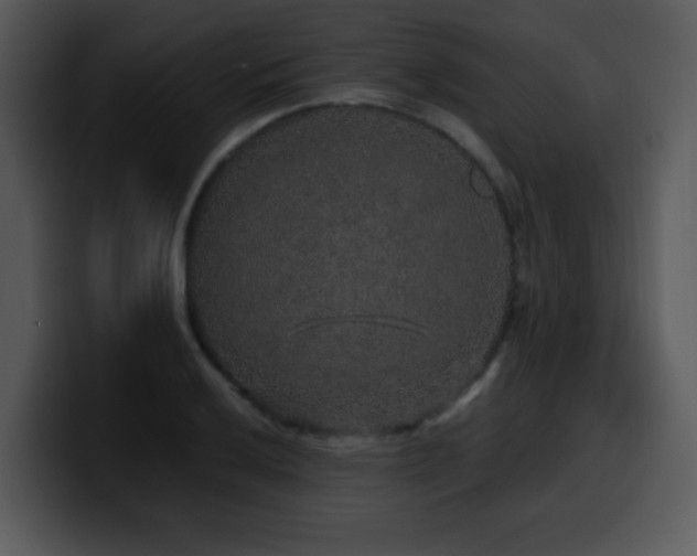 X0000100391032200806061250
