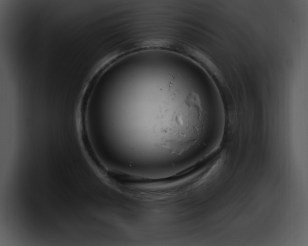 X0000100391034200806061250