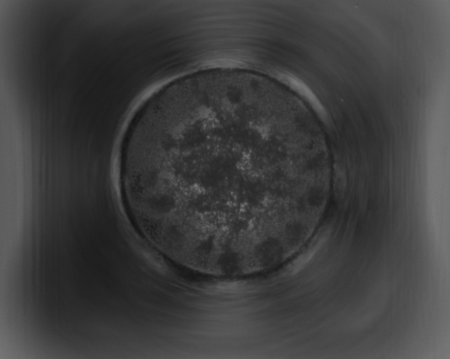 X0000100391035200806061250