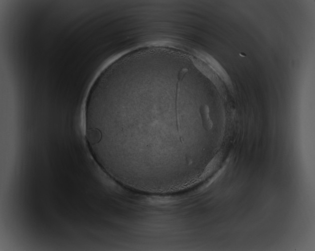 X0000100391036200806061250