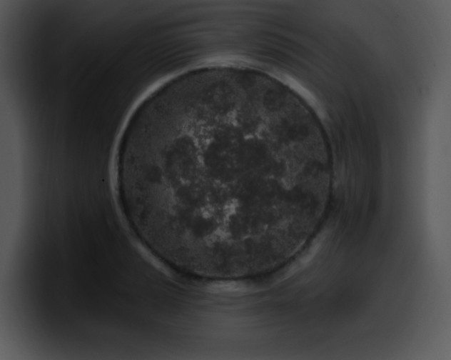 X0000100391037200806061250