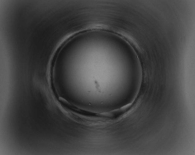 X0000100391038200806061250