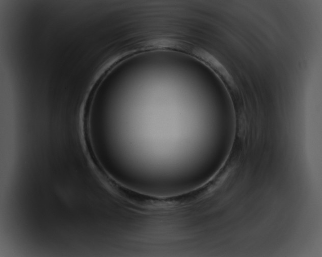 X0000100391039200806061250