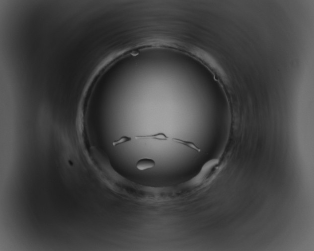 X0000100391040200806061250