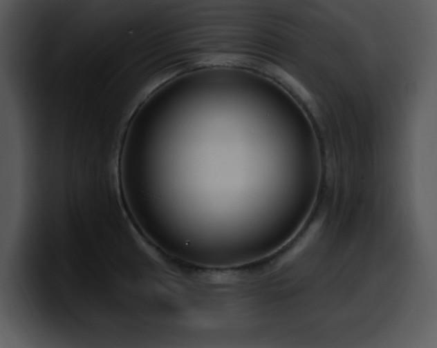X0000100391041200806061250