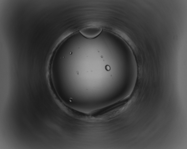 X0000100391042200806061250