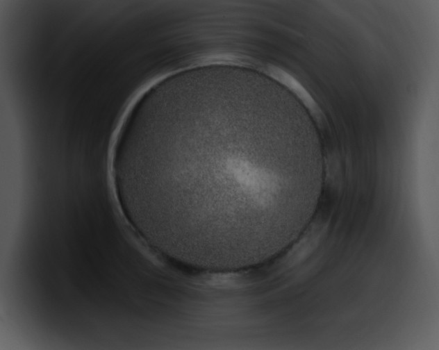 X0000100391043200806061250