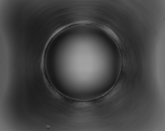 X0000100391044200806061250