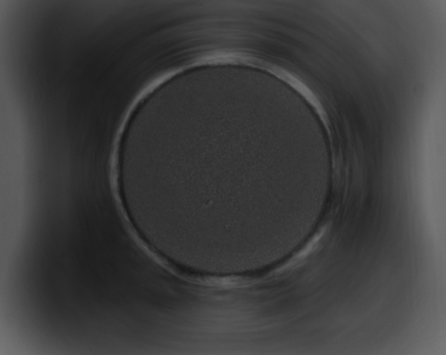 X0000100391045200806061250