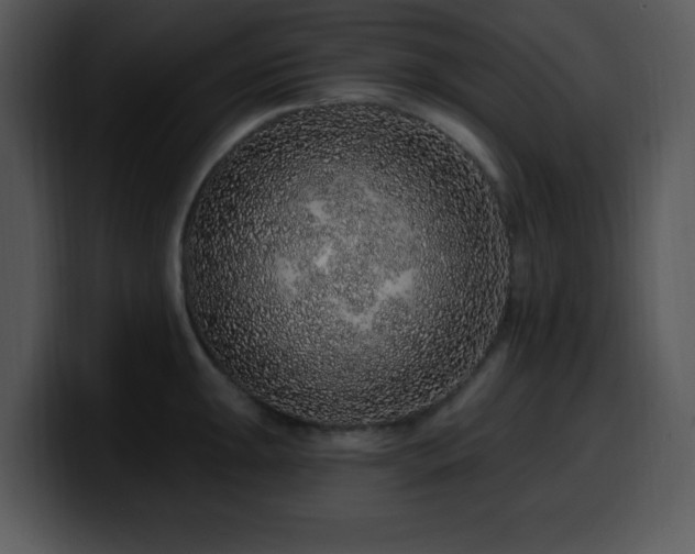 X0000100391047200806061250