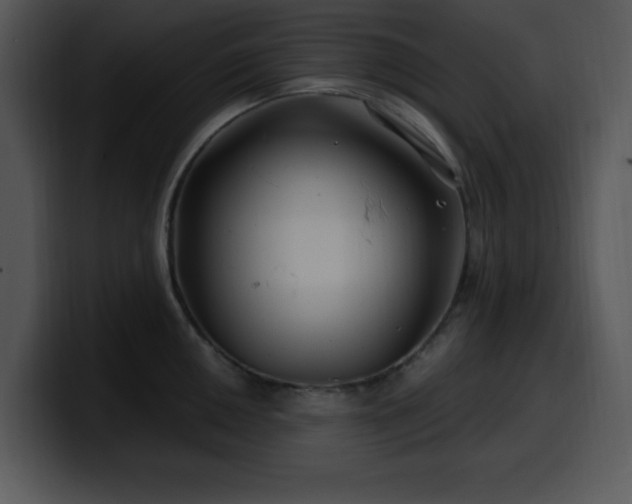 X0000100391050200806061250