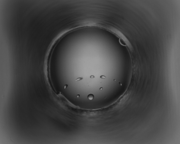 X0000100391051200806061250