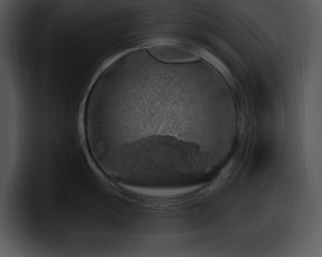 X0000100391055200806061250