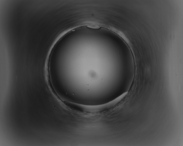 X0000100391056200806061250