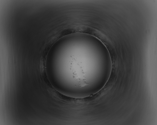 X0000100391058200806061249
