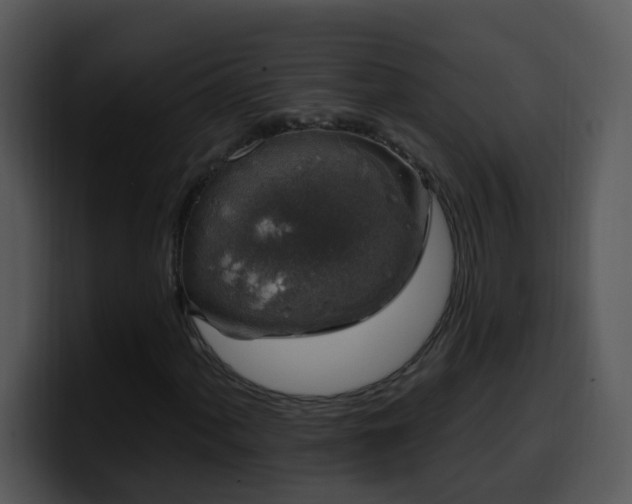 X0000100391060200806061249