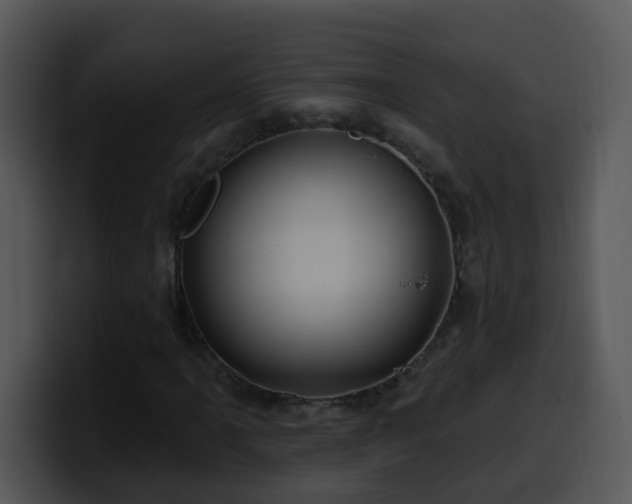 X0000100391061200806061249
